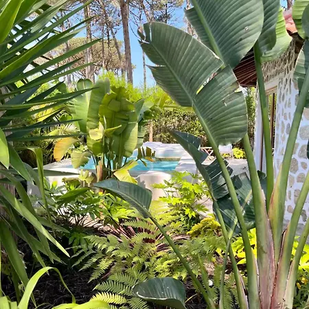 The Mill - Ferienhaus Sintra