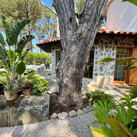 The Mill - Ferienhaus