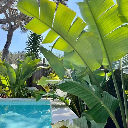 The Mill - Ferienhaus *